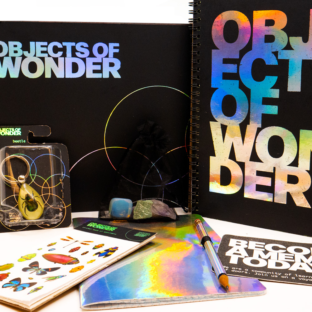 arangment of items, black box and catalog in background, bug sticker, iridescent journal, and donor card lying in the foreground