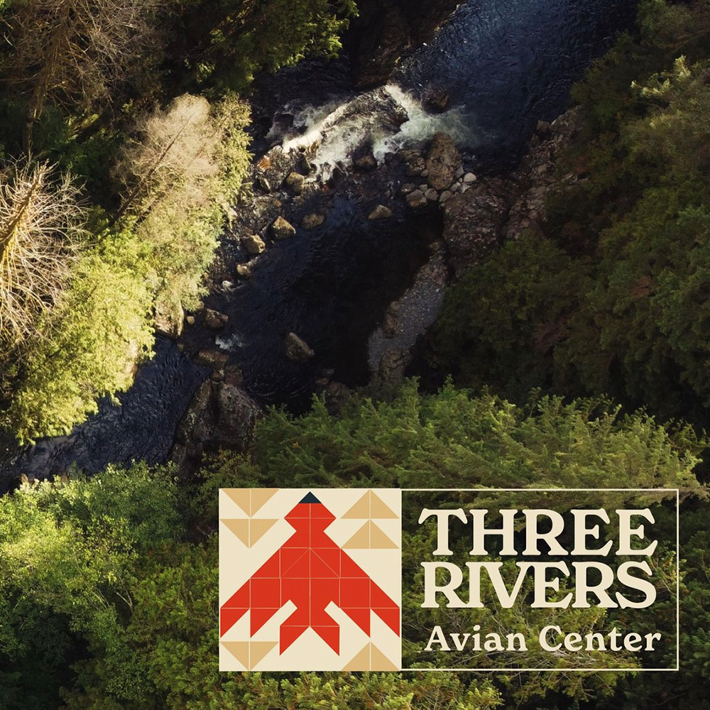 aerial image of trees and a creek with the TRAC logo at the bottom left corner